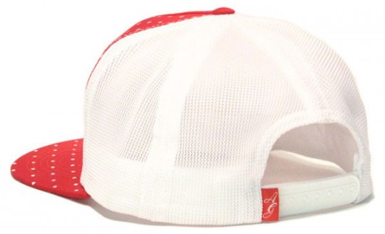 Acapulco Gold Spring/Summer 2009 Headwear / Kšiltovky Acapulco (http://www.stylehunter.cz)