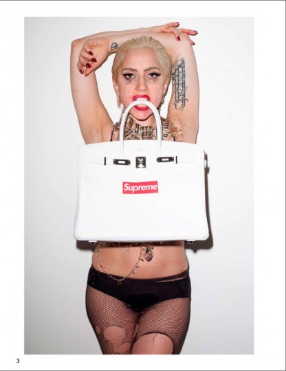 Supreme x Lady Gaga / Photos by Terry Richardson  (http://www.stylehunter.cz)